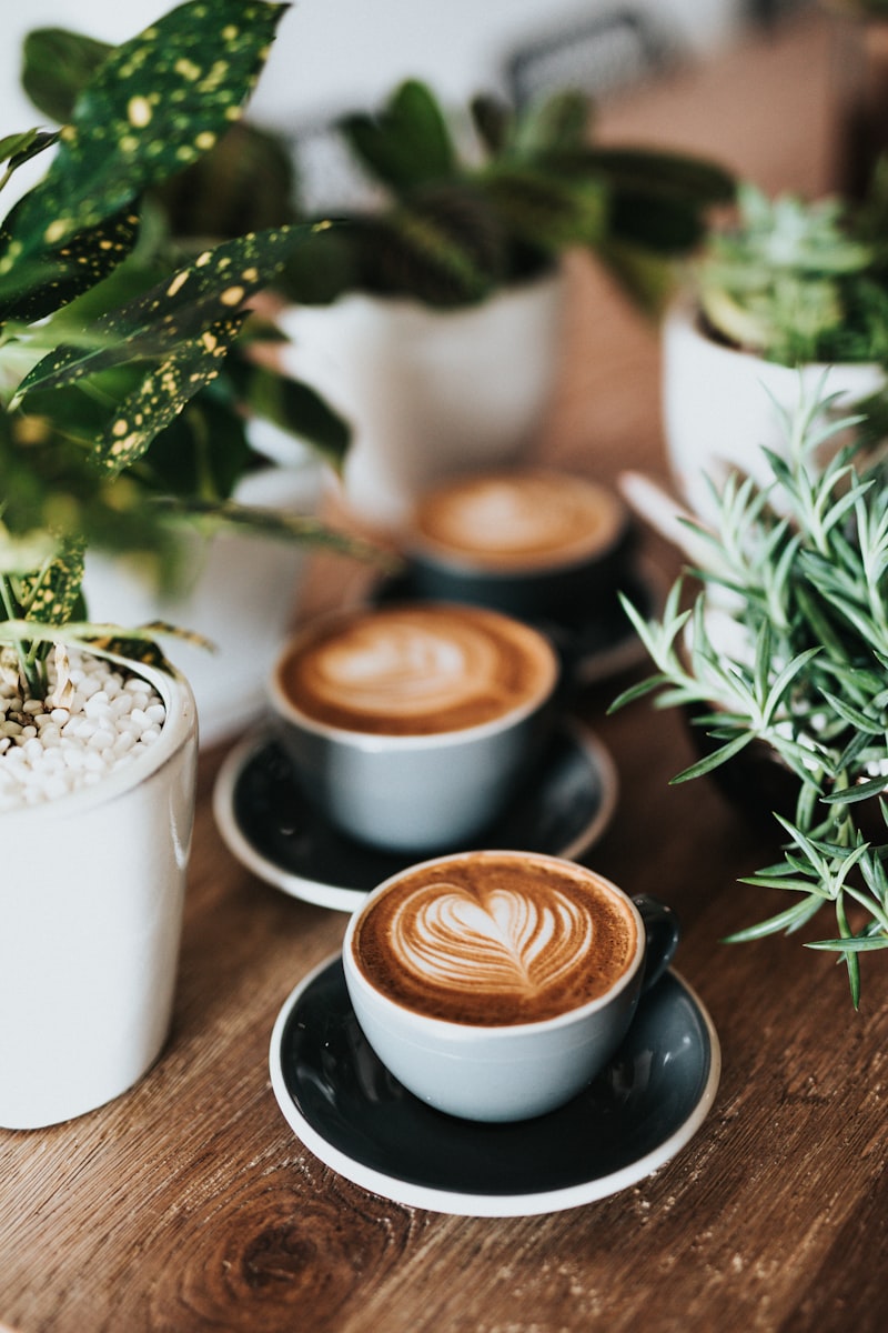 Espresso perfeito